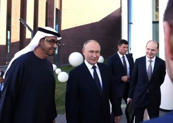 UAE President Seeks to Develop Strategic Partnership With Russia