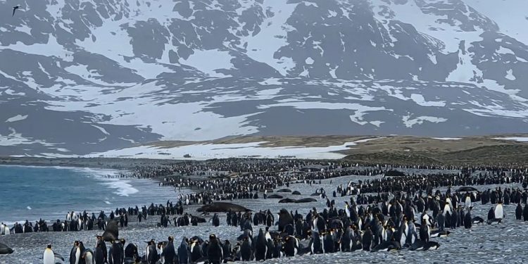 CLIMATE CRISIS: Adapt or Perish?