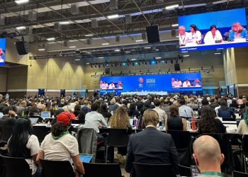 COP16 Results in Landmark Biodiversity Agreement Adopted