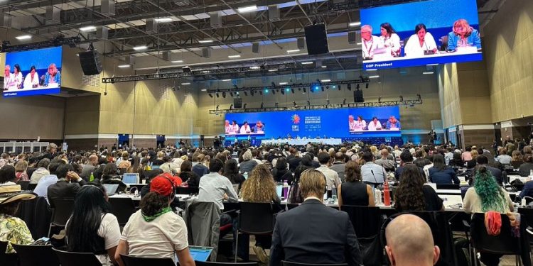 COP16 Results in Landmark Biodiversity Agreement Adopted