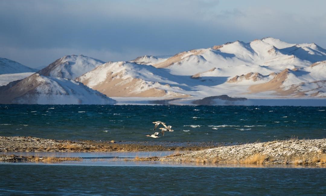 CLIMATE EMERGENCY 2025 Declared International Year of Glaciers