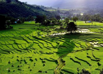 ADB Approved $85 Million Loan to Improve Agricultural Productivity in Nepal