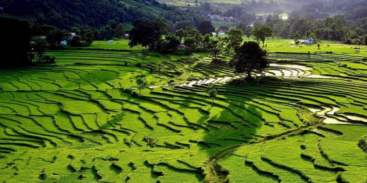 ADB Approved $85 Million Loan to Improve Agricultural Productivity in Nepal