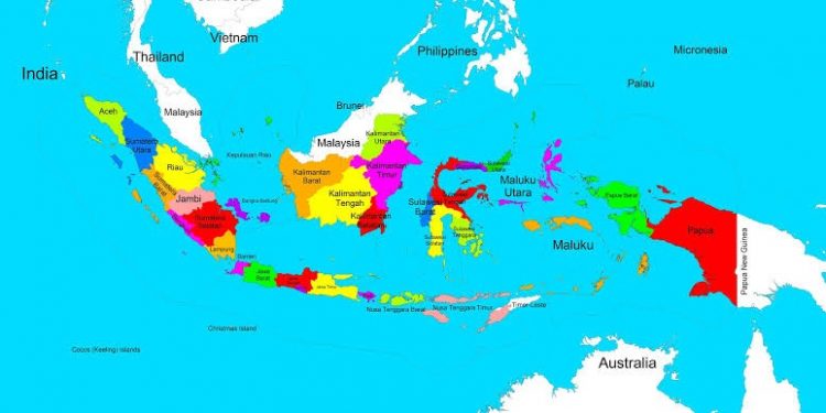 BKSAP Supports Indonesia to Join OECD and BRICS