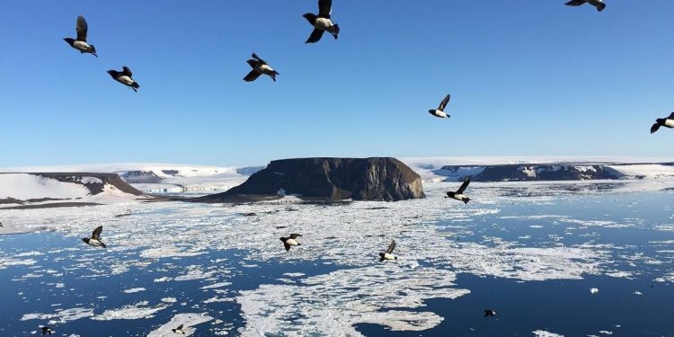 Global Warming, Russian Arctic ‘Island’ Disappears