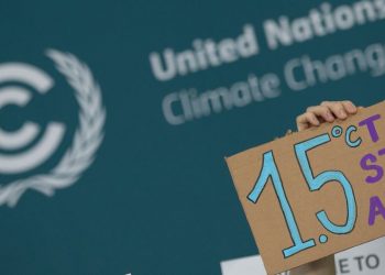 COP29 Draft Deal Proposes Wealthy Nations Give $250 Billion in Climate Finance