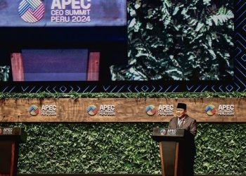 APEC CEO Summit: President Prabowo Promotes Economic Cooperation and Peace