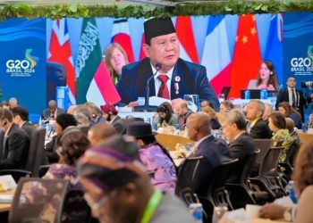 G20 Summit Brazil: President Prabowo Claims Carbon Credits for Developed Countries