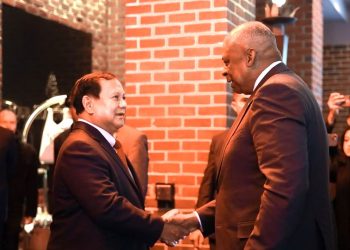 President Prabowo Supports a Two-State Solution to Resolve the Palestinian Conflict