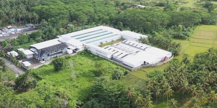 Indonesian Aquaculture Products are Starting to Be Accepted by the Global Market