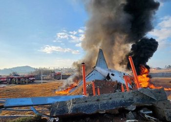 Jeju Air Plane Crash: 28 Killed, 3 Survived