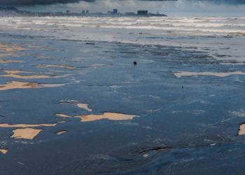 Major Oil Spill Washes Up on Russia’s Black Sea Coast