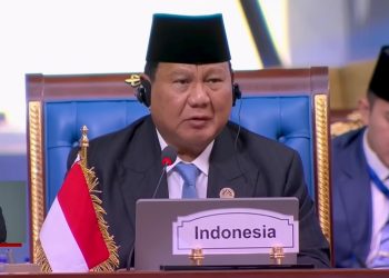 D-8 Summit: President Prabowo Calls for a United Muslim Country