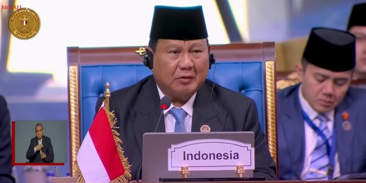 D-8 Summit: President Prabowo Calls for a United Muslim Country