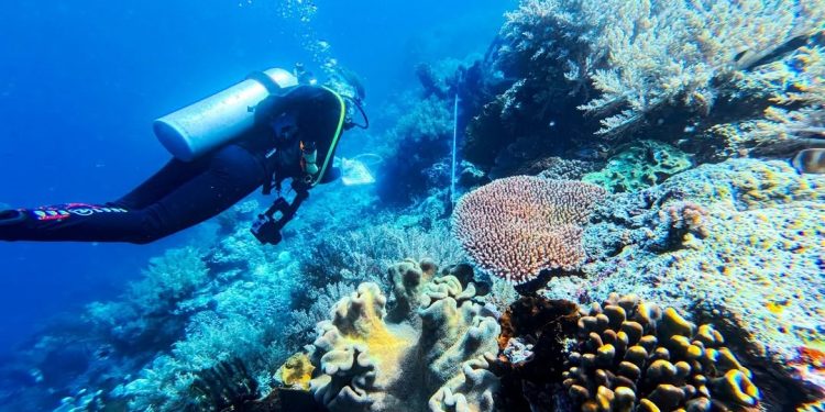 Sydney Declaration: Indonesia-Australia-PNG Blue Economy Collaboration