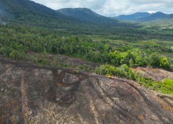 Indonesia is Rich in Black Soil, What are the Benefits?