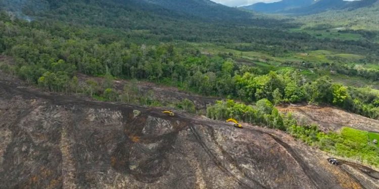 Indonesia is Rich in Black Soil, What are the Benefits?