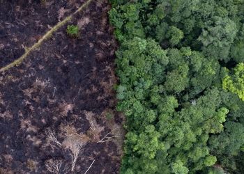 Landmark Climate Change Hearings Represent Largest Ever Case Before UN World Court