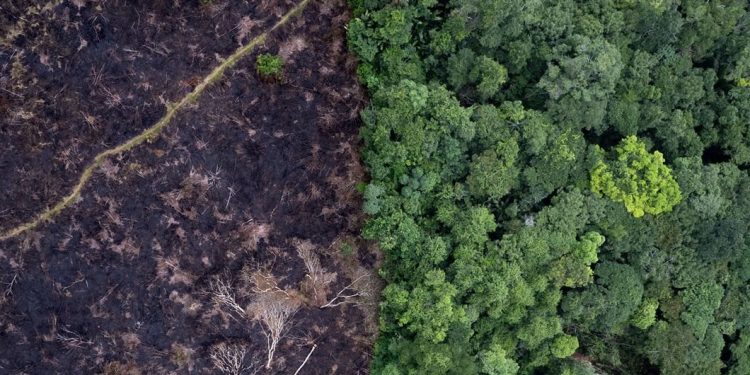 Landmark Climate Change Hearings Represent Largest Ever Case Before UN World Court