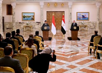 Indonesia and Egypt Will Expand Bilateral Cooperation