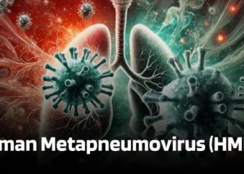 The HMPV Virus has Spread in Indonesia