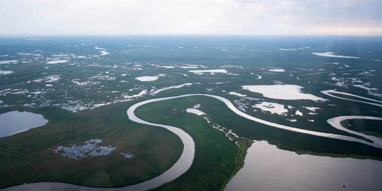 World Bank Report: South Sudan’s Abundant Renewable Natural Resource Potential