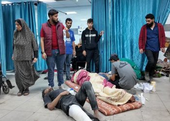 Gaza’s Health System has Collapsed