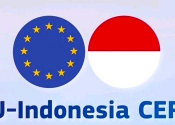 Nine Years of I-EU CEPA Negotiations, When Will an Agreement Be Reached?