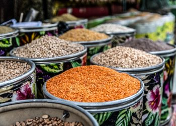 Indonesia is the Largest Producer of Nuts in Asia