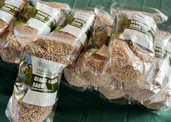 Improving Masyarakat Adat’s Livelihood Through Sago Processing