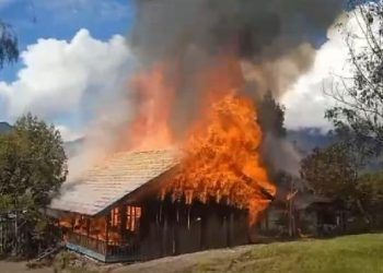 Free Papua Separatist Group Executes 6 Teachers and Medical Personnel in Yahukimo