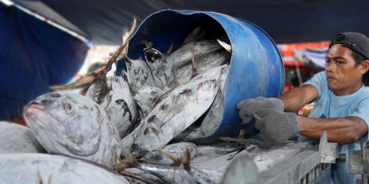 Why is it Difficult for Indonesian Fishery Products to Penetrate the International Market?