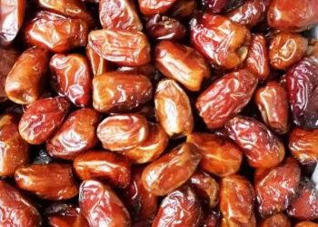 Indonesia Imports 16,470 Tons of Dates from Egypt, Saudi Arabia and UAE