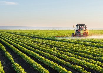 Uzbekistan Ready to Modernize Its Irrigation Infrastructure