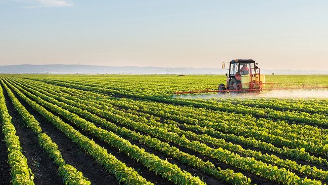 Uzbekistan Ready to Modernize Its Irrigation Infrastructure