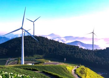 Uzbekistan to Invest in Modernizing Electricity Distribution Networks