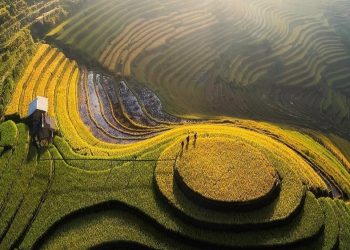 Greener Development Can Help Viet Nam Achieve High-Income Status by 2045