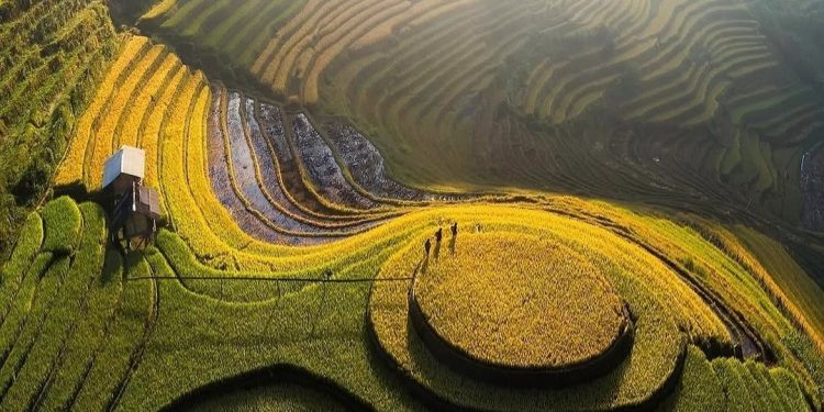 Greener Development Can Help Viet Nam Achieve High-Income Status by 2045