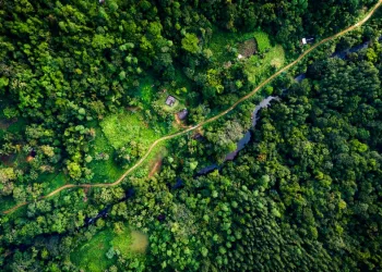 World Bank’s PROGREEN Trust Fund Extended to 2031