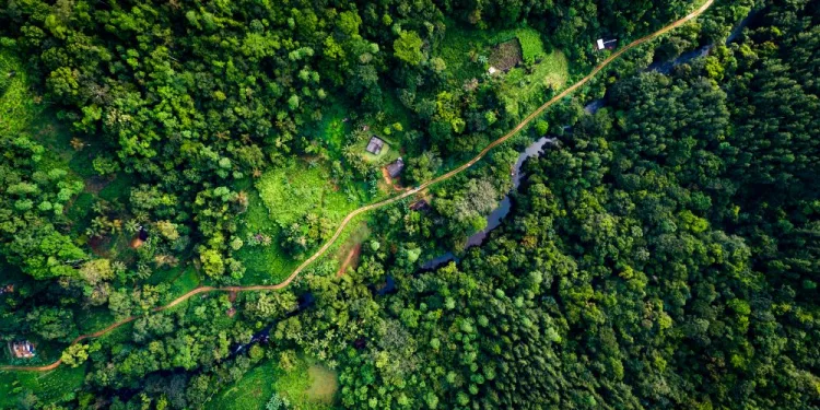 World Bank’s PROGREEN Trust Fund Extended to 2031