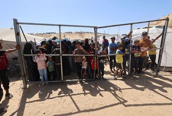 Guterres Urges Probe Into Killings at Food Distribution Sites in Gaza