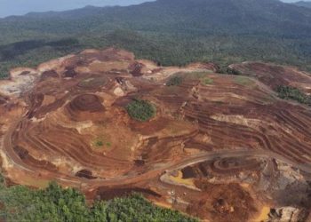 Indonesian Government Halts PT GAG Nickel Operations in Raja Ampat