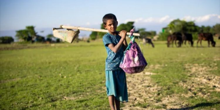 Asia-Pacific Leads Global Decline in Child Labour, But 138 Million Still Trapped Worldwide