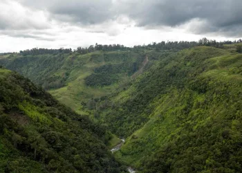 $42 Million Program Launched to Protect Primary Forests in Southeast Asia and the Pacific
