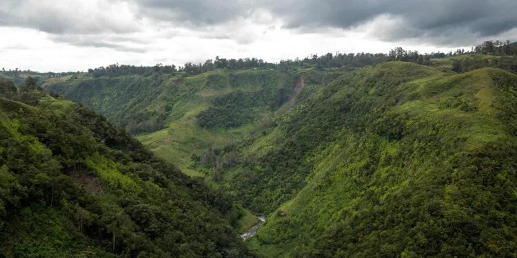 $42 Million Program Launched to Protect Primary Forests in Southeast Asia and the Pacific 1 $42 Million Program Launched to Protect Primary Forests in Southeast Asia and the Pacific