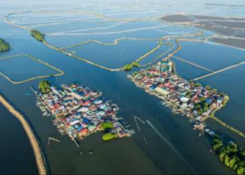 Tide of Change in Philippines as Women Revive Watersheds and Livelihoods