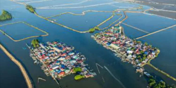 Tide of Change in Philippines as Women Revive Watersheds and Livelihoods