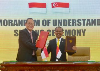 Indonesia and Singapore Commit Over USD10 Billion to Green Energy and SIZ