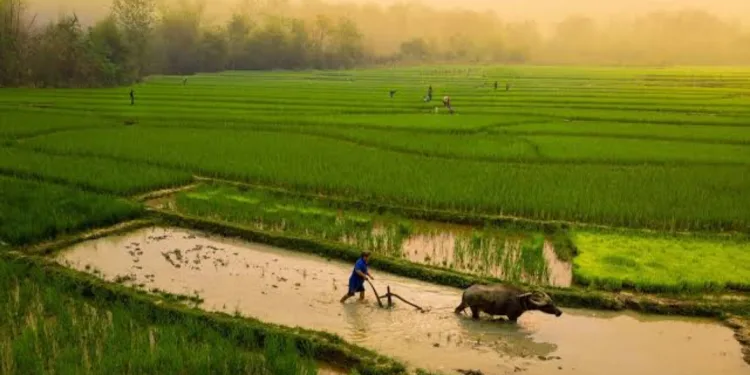 ADB to Support Agrifood Systems Transformation in Lao PDR 1 ADB to Support Agrifood Systems Transformation in Lao PDR