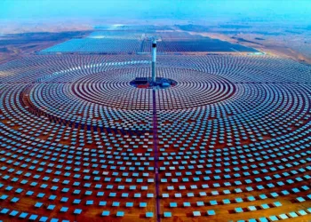 ACWA Power Commits US$10 Billion Investment in Danantara to Boost Renewable Energy